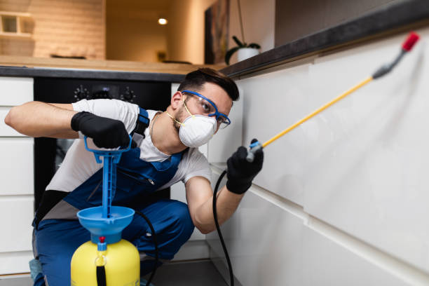 Best Affordable Exterminators  in Flanders, NY