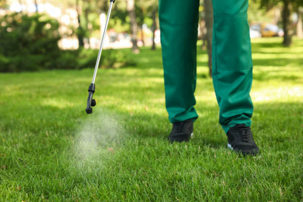 Best Wasp Removal Services  in Flanders, NY