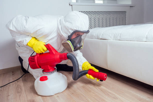 Best Affordable Pest Control Services  in Flanders, NY
