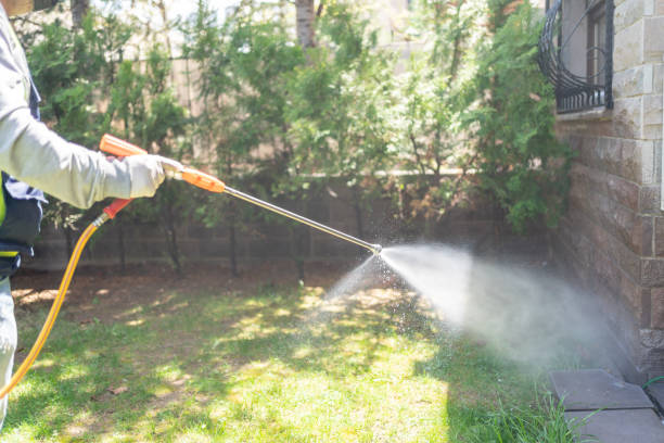 Professional Pest Control in Flanders, NY