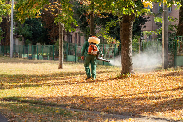 Best Termite Control Services  in Flanders, NY