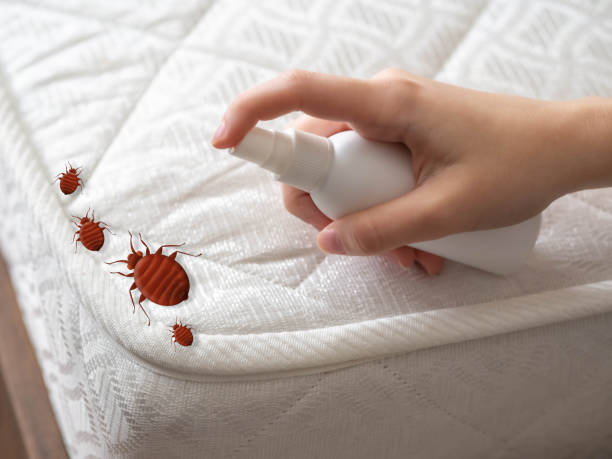  Flanders, NY Pest Control Pros