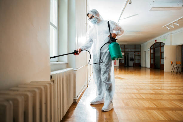Best Pest Control Treatment  in Flanders, NY