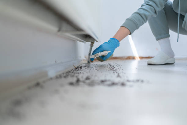 Best Pest Removal Services  in Flanders, NY